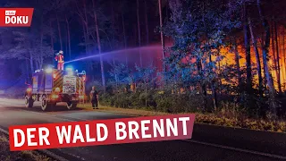 Wald in Flammen - Feuerwehr im Dauereinsatz | Die rbb Reporter | Doku & Reportage