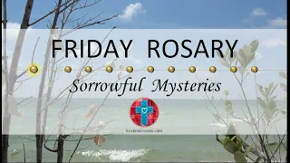 Friday Rosary • Sorrowful Mysteries of the Rosary 💜 August 18, 2023 VIRTUAL ROSARY - MEDITATION