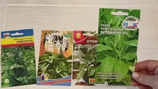 Поступили в продажу семена курительного табака.м-н ДАЧА г Каменск-Уральский 26.03.2023