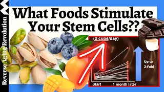 ENHANCE Your STEM CELLS Naturally with These FOODS & Dietary Patterns!!!