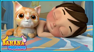 Animal Dance | Kitty Cat song | Banana Cartoon Preschool Sign Language Fun Educational Songs