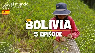 ¿Por qué se crían cobayas en Bolivia y por qué es peligroso recoger hojas de coca?