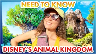 30 Disney World Tips You Must Have in Animal Kingdom