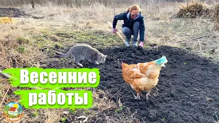 #158 КУПИЛИ ДОМ НА ЮГЕ. Весенние работы во дворе и в огороде.