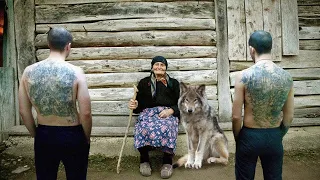 Ex-Convicts Attacked an Old Grandma, Then a Wolf Suddenly Showed up and Did Something Unimaginable!