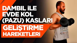 Dambıl ile Evde Kol Kası (Pazu) Hareketleri