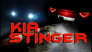 KIA STINGER / ЗАМЕНА ГАЛОГЕНА НА LED ЛАМПЫ