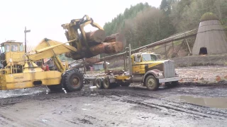 David Hull hauling a three log load with 1972 Kenworth