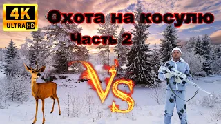 Как мы на охоту  на косулю ходили.Часть 2 ( Roe deer hunting.Part 2)