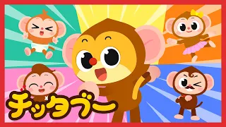 元気いっぱい🐵おサルさんたちと楽しい週末を✨| おサルさんのうたメドレー | どうぶつのうた | キッズソング | 子どもの歌 | #チッタブー