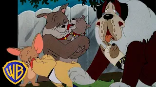 Tom & Jerry | Best of Dogs! 🐶❤️ | Animals Month | Classic Cartoon Compilation | @wbkids​