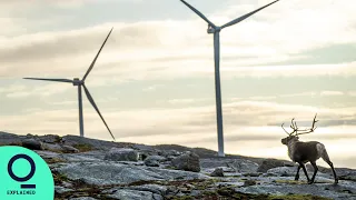 How Wind Farms Are Making Reindeers Fade in Norway