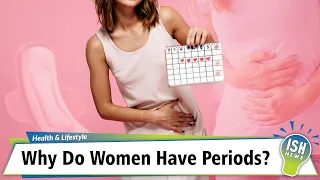 Why Do Women Have Periods?