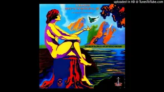 Iron Butterfly - New Day (1970)