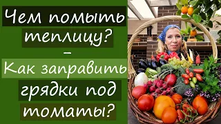 Чем помыть теплицу? Как заправить грядки под томаты?