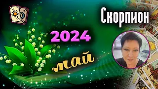 Скорпион Таро Май 2024