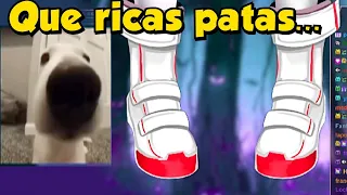 Seguidores se emocionan por las PATAS DE EMIKUKIS 😮