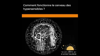 Le cerveau des hypersensibles #hypersensible #neurosciences #hautpotentiel