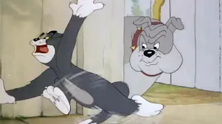 توم وجيري الحلقة 15 الجزء 3 Tom and jerry episode 15 (Bodyguard) part 3