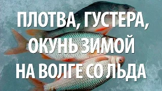 ЗИМНЯЯ ЛОВЛЯ ПЛОТВЫ ГУСТЕРЫ ОКУНЯ. ПОДЛЕДНАЯ РЫБАЛКА на ВОЛГЕ ЗИМОЙ