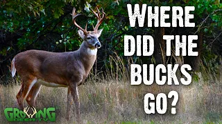 How to Find Bucks When They Disappear