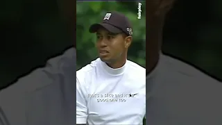 Tiger Woods Greatest Shot 🤷‍♂️