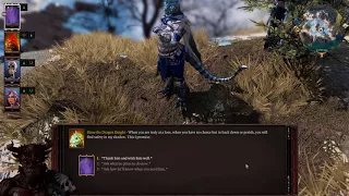 Slane the Winter Dragon - Tactician - Divinity Original Sin 2 LP #22