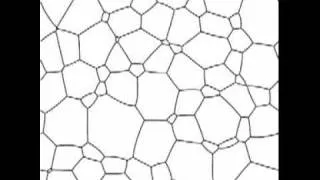 Growth of a two-dimensional grain structure