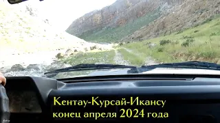 Кентау-Курсай-Икансу конец апреля 2024 года. Туркестанская область Казахстан.
