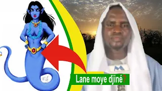 LANE MOY DJINE