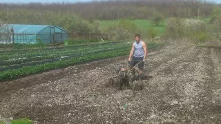 клубника . просто о сложном . высказывание и размышление " философия"