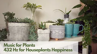 Music for Plants 432 Hz Frequency for Houseplants Happiness