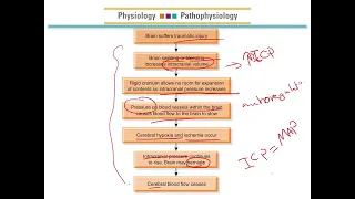 Adult Health Nursing 2: Neurologic Dysfunctions - Head Trauma and Brain Injury