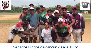 BEISBOL JUVENIL, VENADOS PINGOS VS CARIBEÑOS DE PLAYA DEL CARMEN, LIGA VINICIO CASTILLA