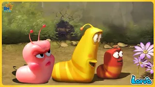 LARVA CARTOON FULL EPISODE: FIGHT | CARTOONS MOVIES NEW VERSION | THE BEST OF CARTOONS COLLECTION