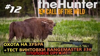 theHunter Call of the Wild #12 Охота на зубра + тест винтовки RANGEMASTER 338(топовое оружие)