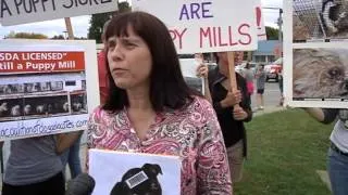 Demonstrators speak out against new store in mall