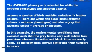 Higher Biology key area 1 7 types of selection