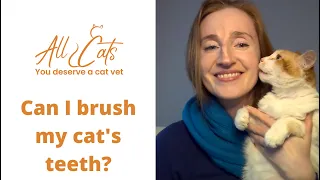 Can I brush my cat's teeth?