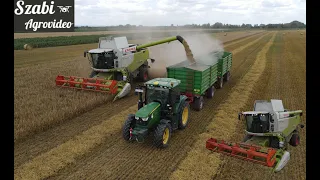 Árpa Aratás 2023 | Barley Harvest  | 2x Claas Lexion 650