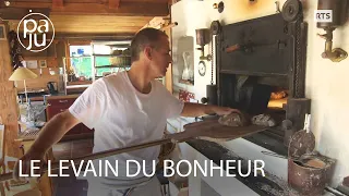 Ils font du pain comme autrefois, de la semence jusqu'au four à bois