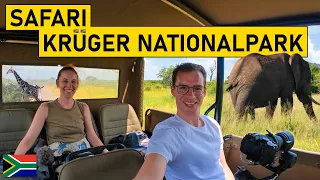 SELBSTFAHRER-SAFARI im KRUGER NATIONAL PARK | Krüger Nationalpark in Südafrika mit dem Mietwagen