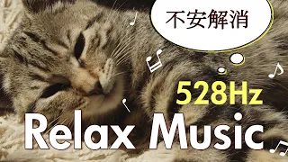 [Cat Healing Music] Healing music to calm cats [528Hz]【猫のための音楽】