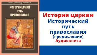 Исторический путь православия - Предисловие аудиокнига
