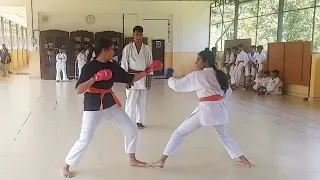 Karate Test Garden Hills 2023-24