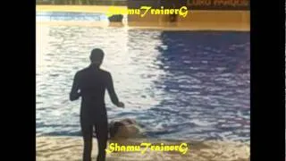 Loro Parque ~ Orca Show Clips 2011