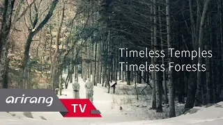 [Arirang Prime] Timeless Temples, Timeless Forests _ Full Episode