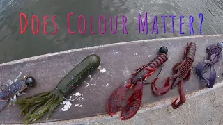 Fishing Lures Colours: Unlocking the Secrets!