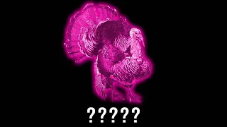 20 Turkey "Gobble Gobble" Sound Variations in 30 Seconds | MODIFY EVERYTHING