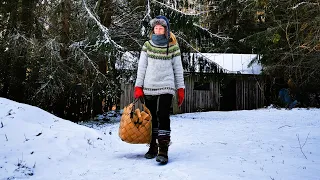 Winter Day at the Forest Cabin and Some Exciting News